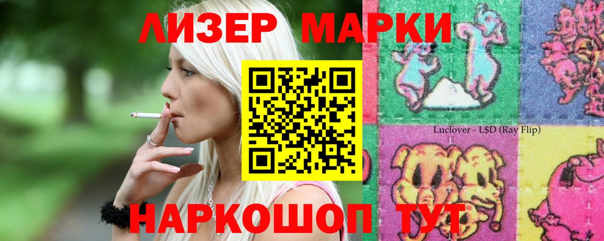 Галлюциногенные грибы Советская Гавань