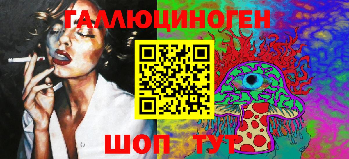 Псилоцибиновые грибы Psilocybe Советская Гавань