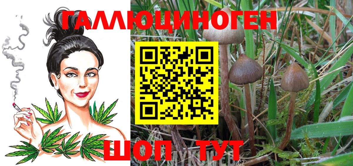 наркота  Галлюциногенные грибы прущие грибы  Вход с VPN  Советская Гавань 